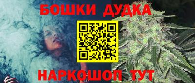 индика Кинель