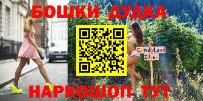индика Кинель