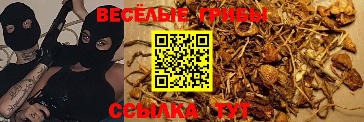 Галлюциногенные грибы MAGIC MUSHROOMS  Псилоцибиновые грибы Psilocybe  Вход с VPN  Корсаков 